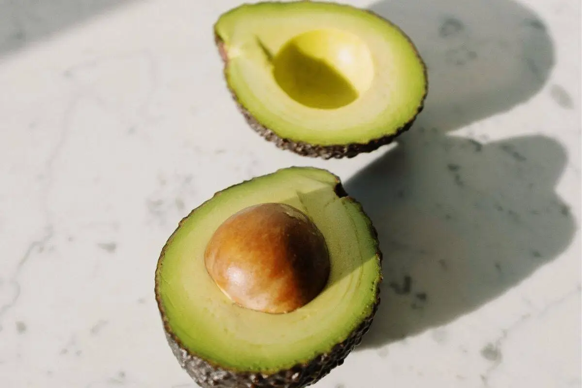 Avocado Benefits for Female Fertility