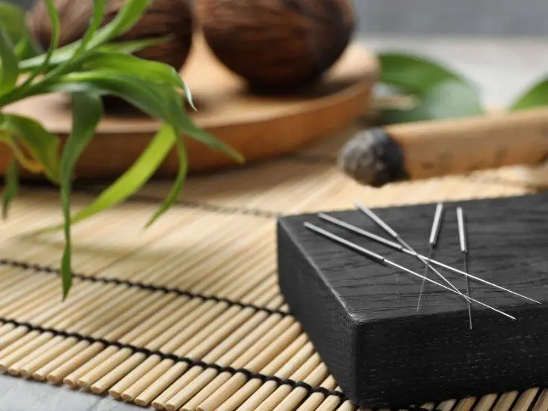 Acupuncture needles arranged on a treatment block