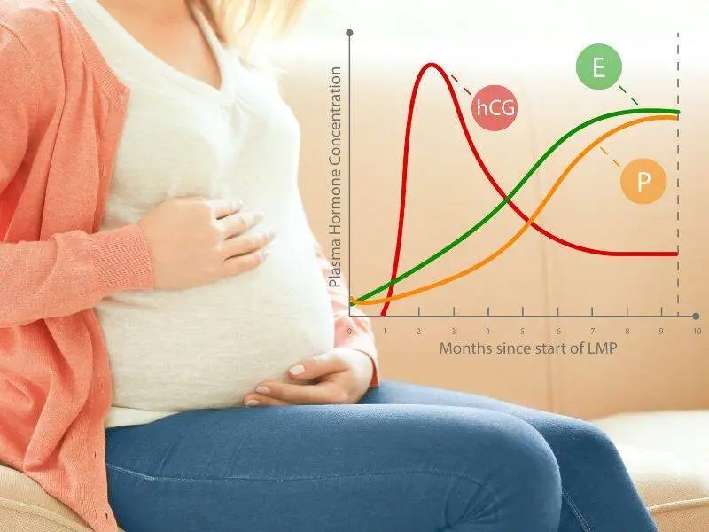 Pregnant woman beside a chart showing hCG, estrogen, and progesterone levels during pregnancy