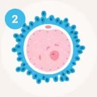 Step 2