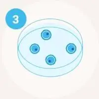 Step 3