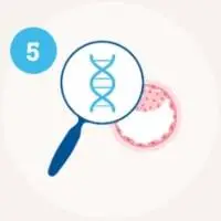 Step 5
